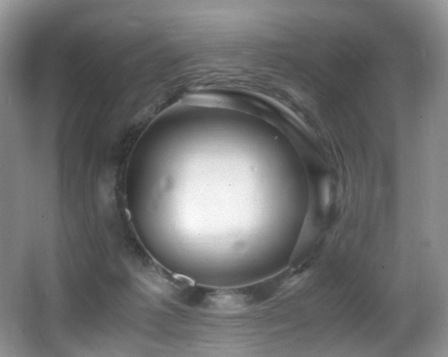 X0000067000221200603241350