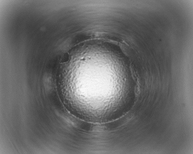 X0000067000222200603241350