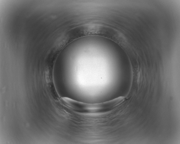 X0000067000224200603241350