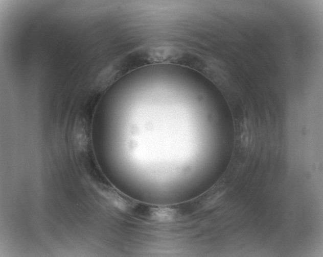 X0000067000226200603241350
