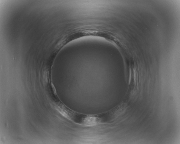 X0000067000227200603241350