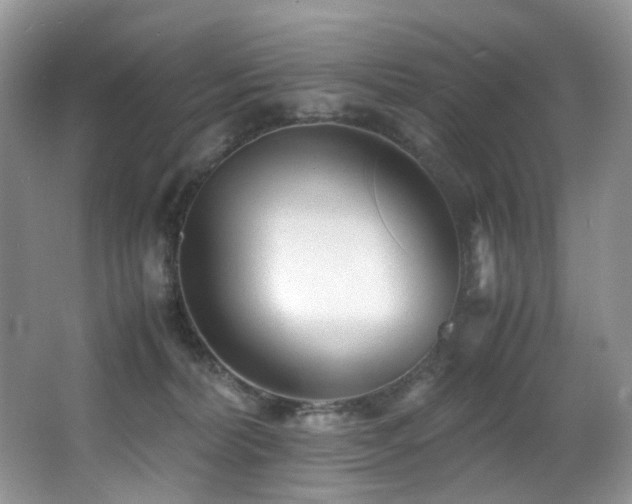 X0000067000228200603241350