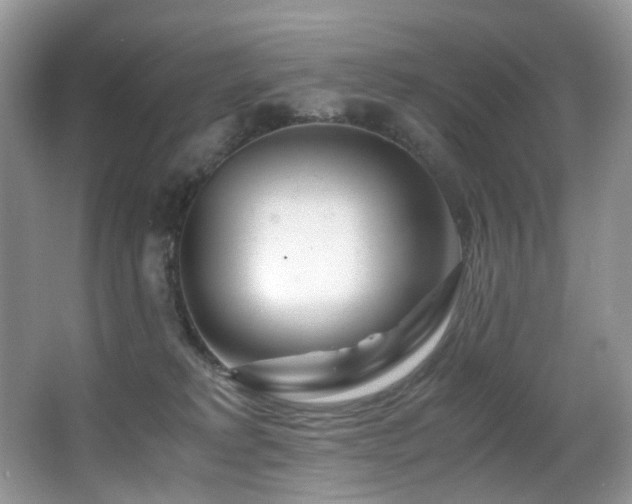 X0000067000229200603241350
