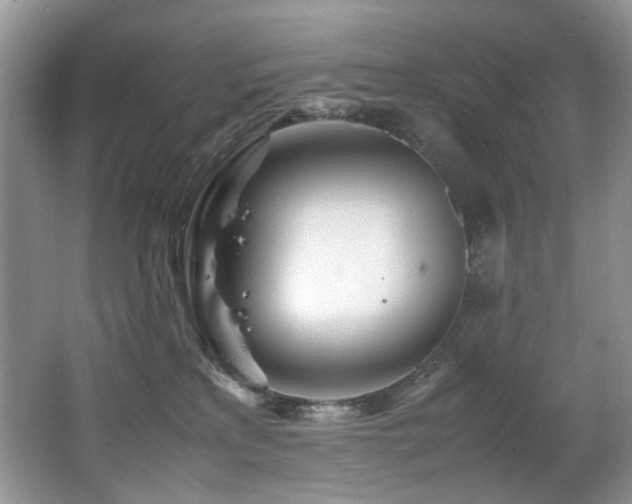 X0000067000233200603241350