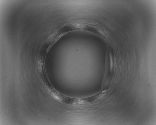 X0000067000235200603241350