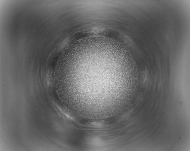 X0000067000236200603241350