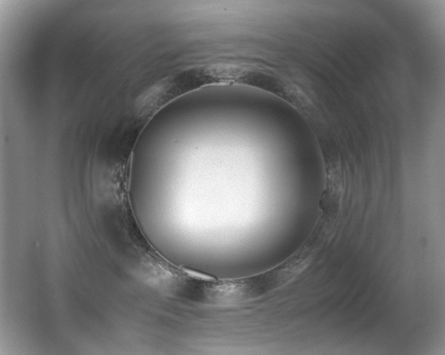 X0000067000237200603241350