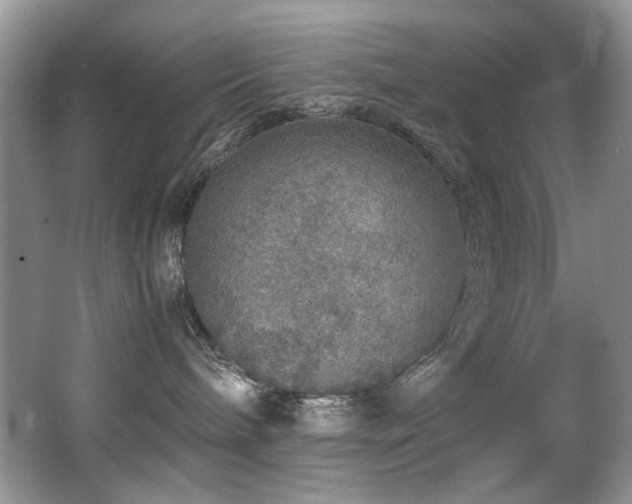 X0000067000240200603241350
