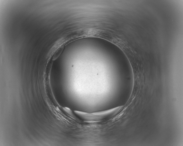 X0000067000242200603241349