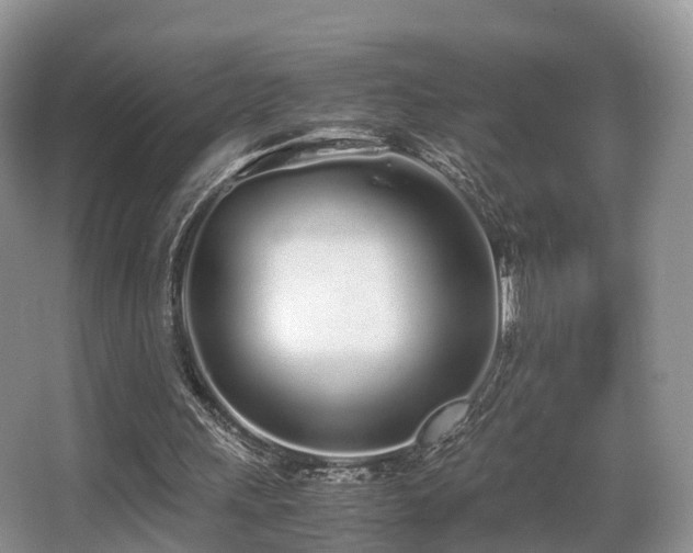 X0000067000243200603241349