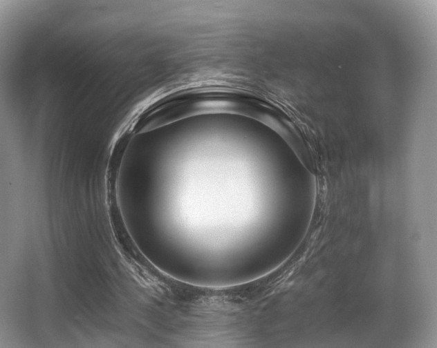 X0000067000244200603241349