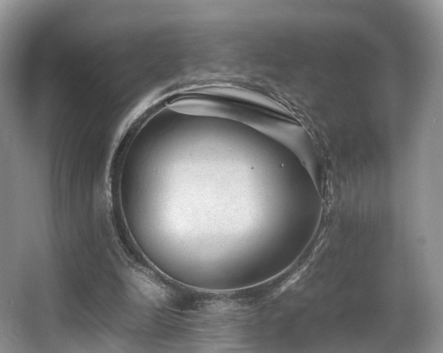 X0000067000246200603241349