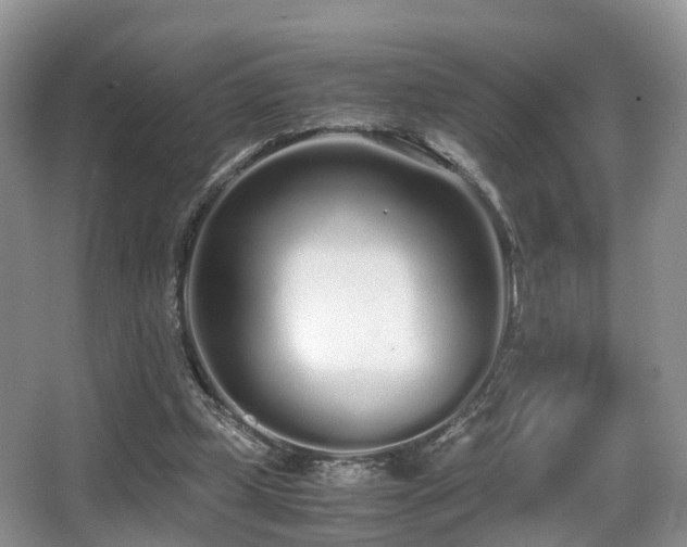 X0000067000249200603241349