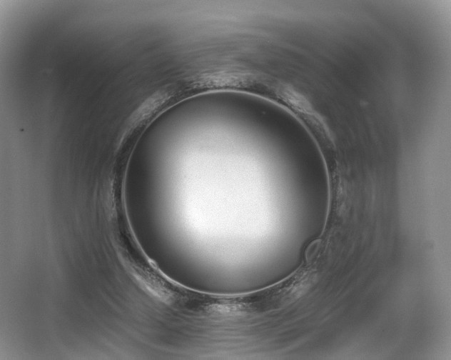 X0000067000250200603241349