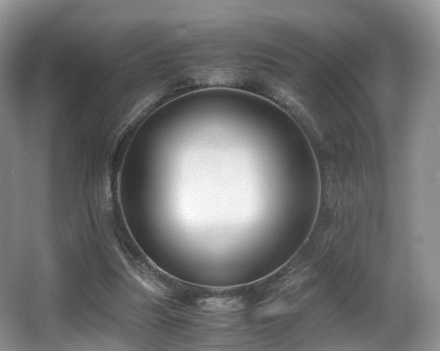 X0000067000251200603241349