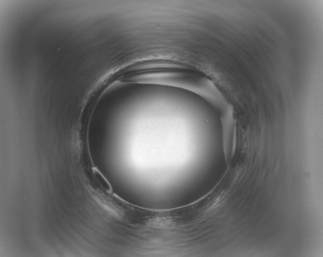 X0000067000252200603241349
