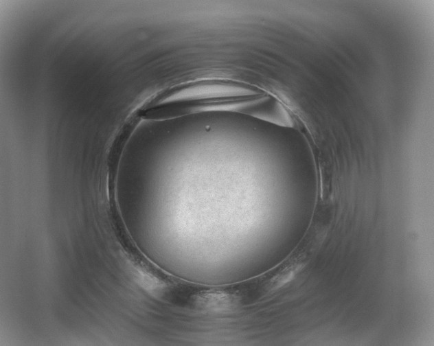 X0000067000253200603241349