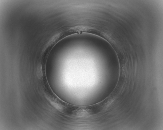 X0000067000254200603241349