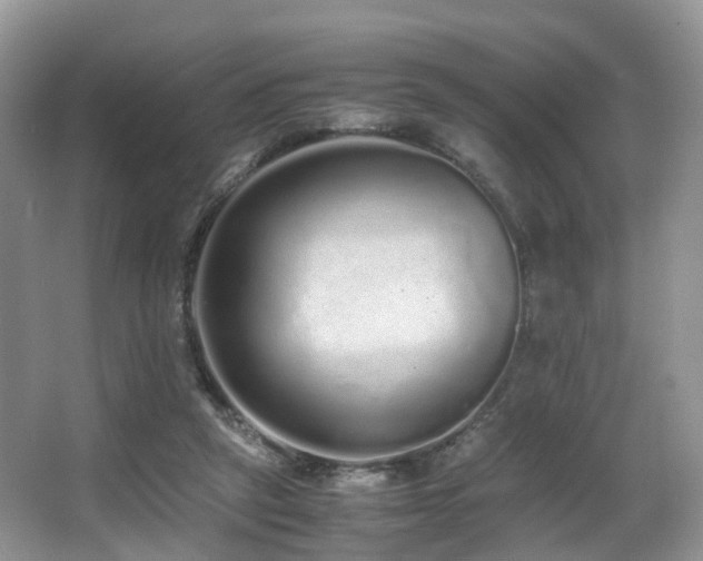X0000067000257200603241349