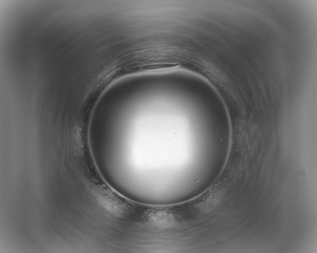 X0000067000258200603241349