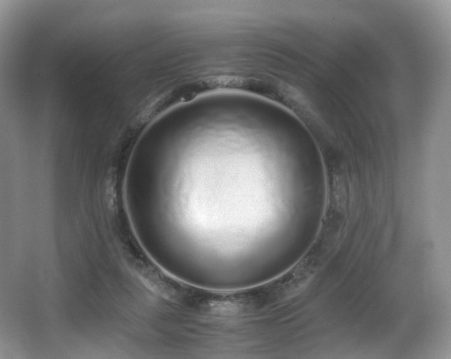 X0000067000259200603241349