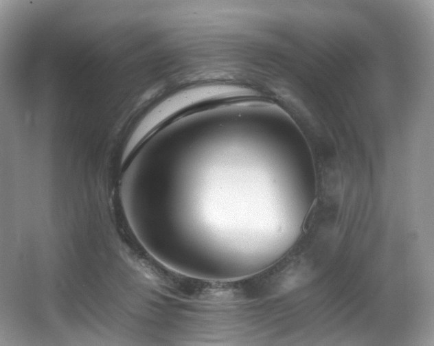X0000067000260200603241350