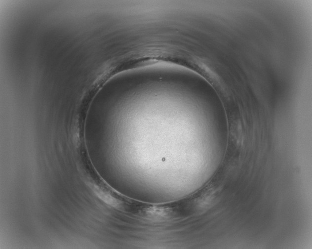 X0000067000261200603241350