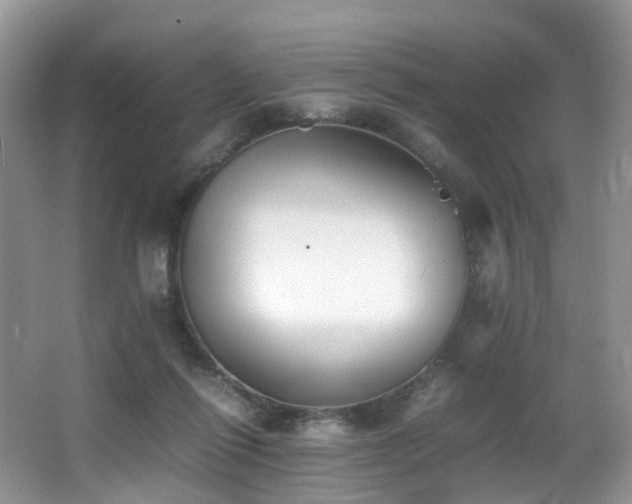 X0000067000262200603241350