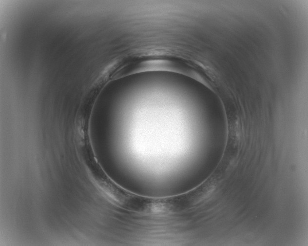 X0000067000264200603241350
