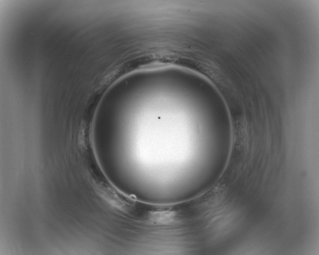 X0000067000266200603241350