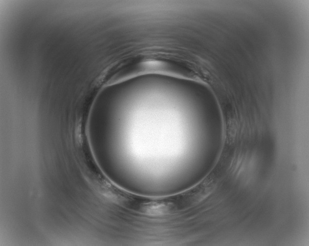 X0000067000267200603241350