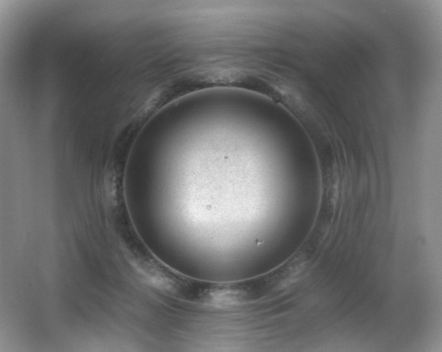 X0000067000268200603241350