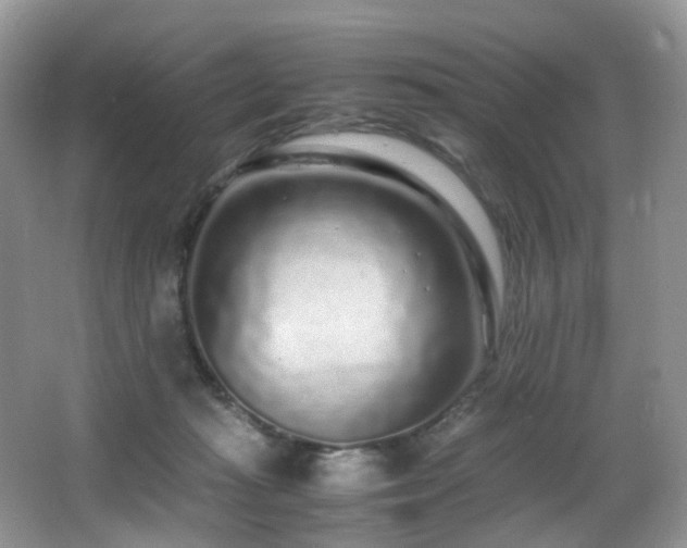 X0000067000269200603241350
