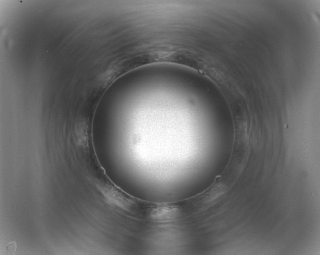 X0000067000274200603241350