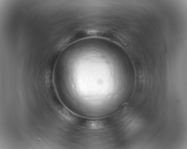 X0000067000275200603241350