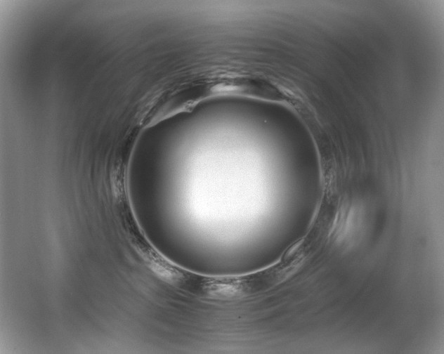 X0000067000285200603241350
