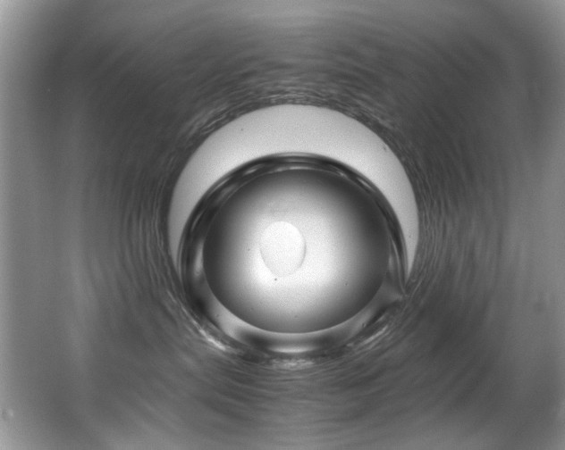 X0000067000287200603241350