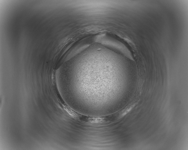 X0000067000288200603241350