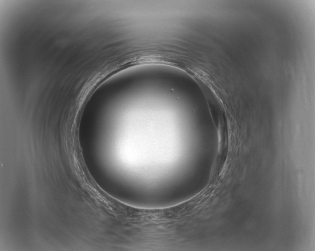 X0000067000289200603241349