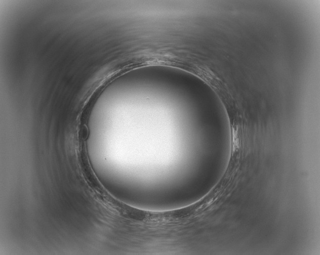 X0000067000291200603241349
