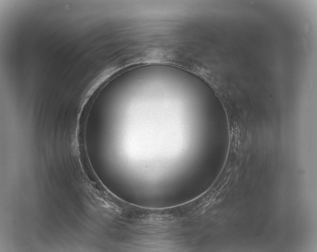 X0000067000292200603241349