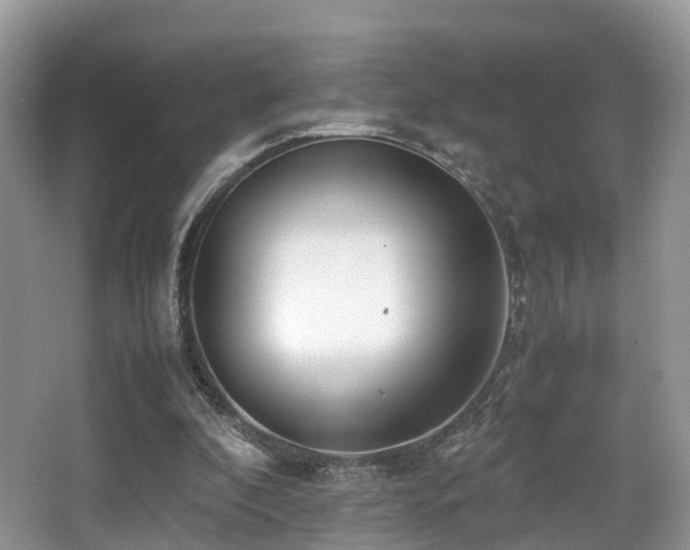 X0000067000296200603241349