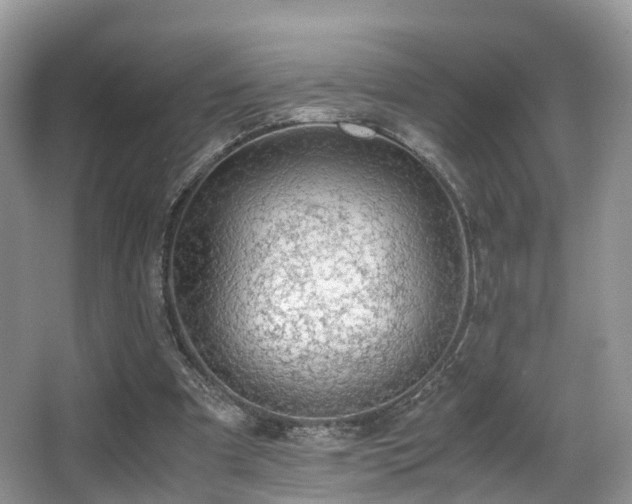 X0000067000297200603241349
