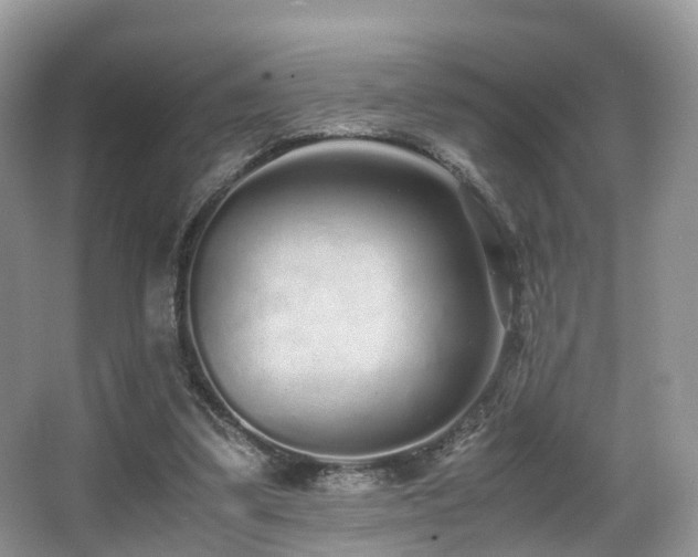 X0000067000299200603241349