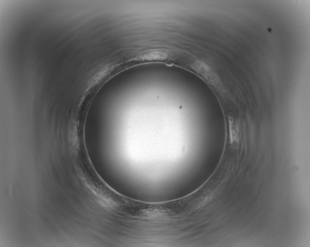 X0000067000300200603241349