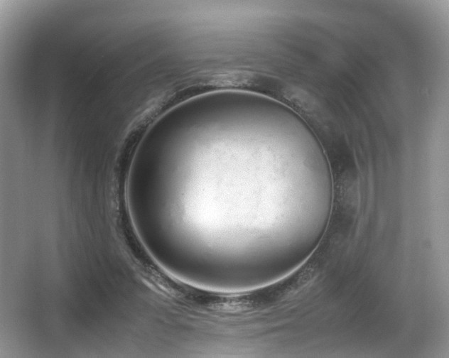 X0000067000303200603241349