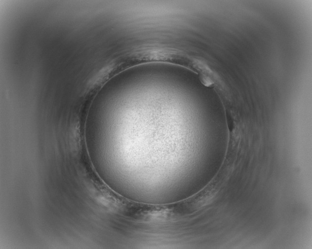 X0000067000306200603241349