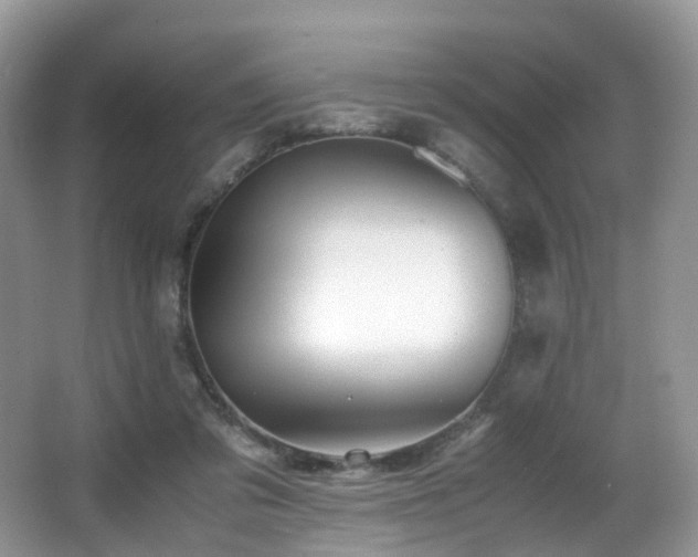 X0000067000309200603241349