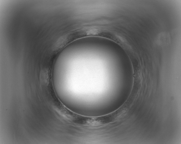 X0000067000311200603241349
