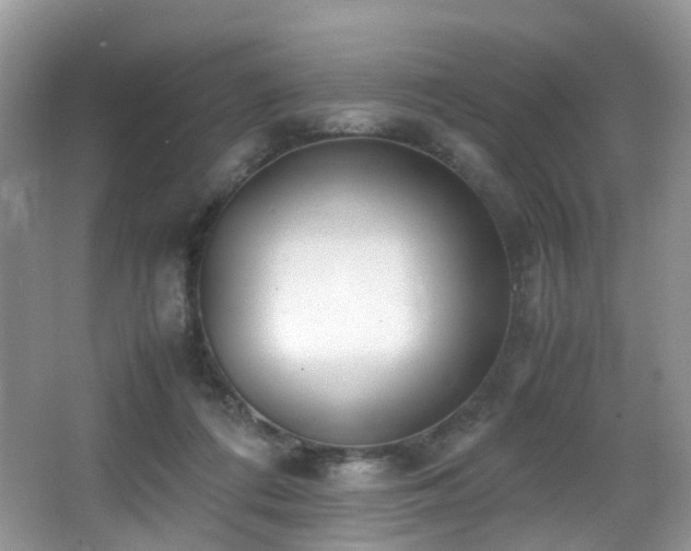 X0000067000312200603241349